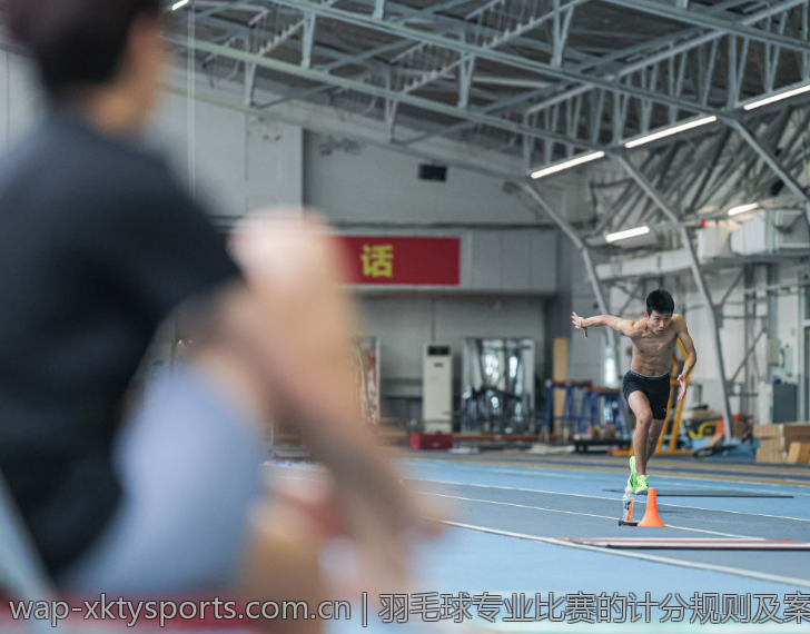 羽毛球专业比赛的计分规则及案例分析